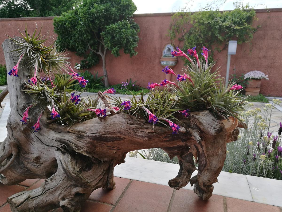 Giusy Bed And Breakfast Marina Di Carrara Buitenkant foto