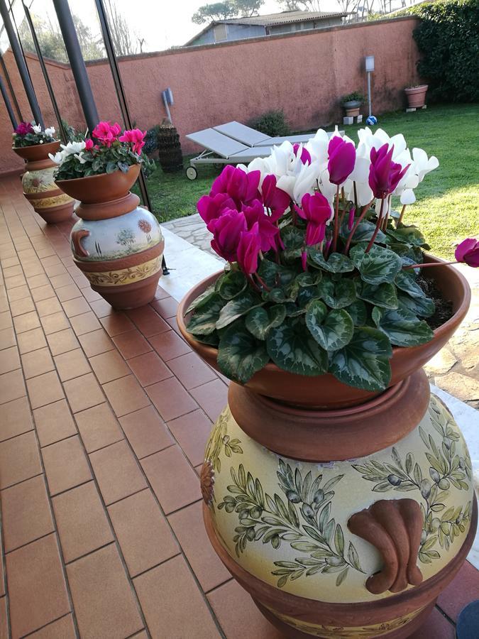 Giusy Bed And Breakfast Marina Di Carrara Buitenkant foto